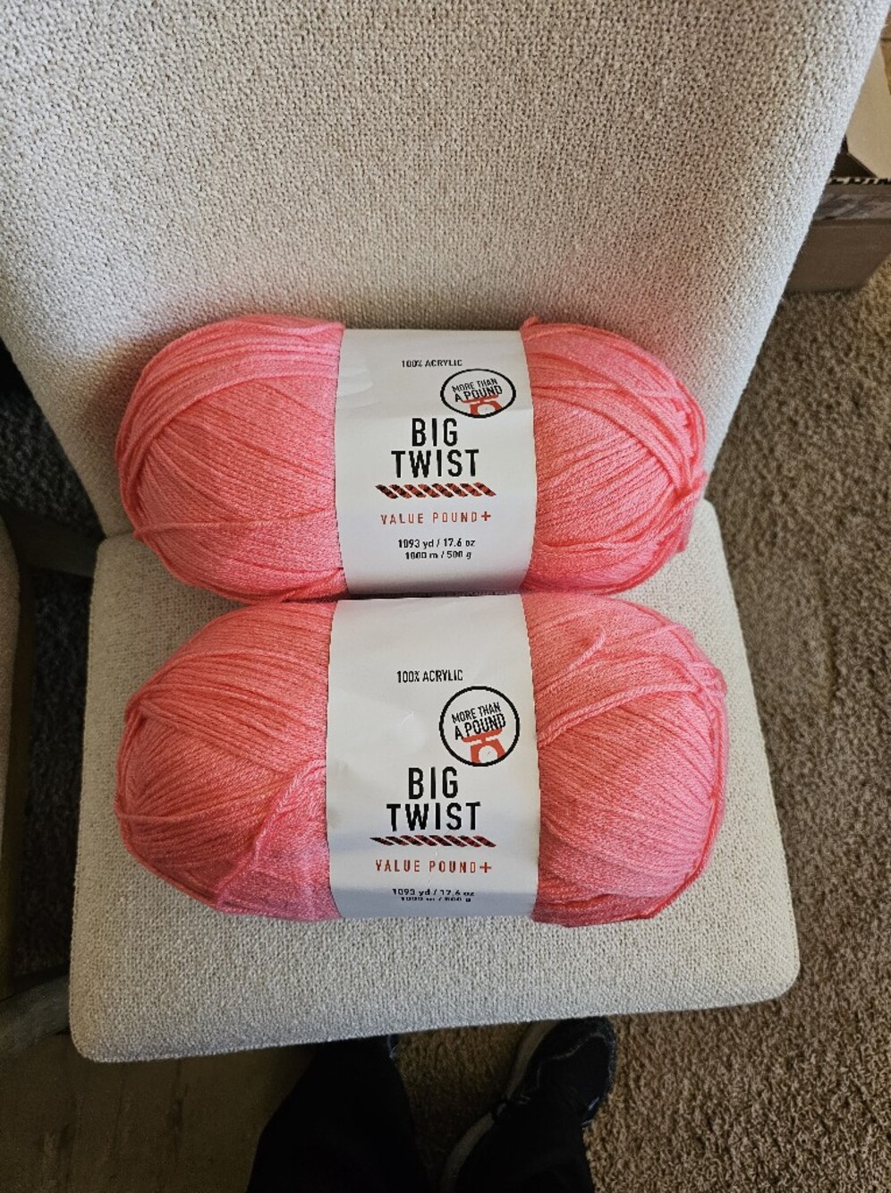 1 Skein Big Twist Value Pound+ Yarn - Watermelon